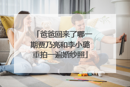 爸爸回来了哪一期贾乃亮和李小璐重拍一遍婚纱照