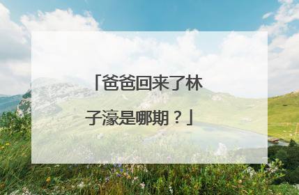 爸爸回来了林子濠是哪期？