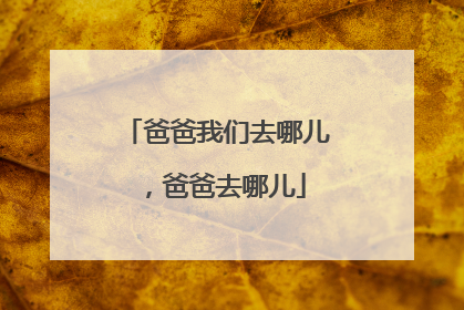 爸爸我们去哪儿，爸爸去哪儿