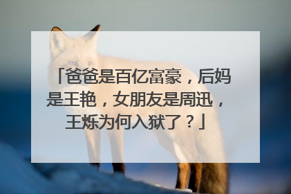 爸爸是百亿富豪，后妈是王艳，女朋友是周迅，王烁为何入狱了？