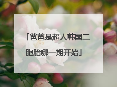 爸爸是超人韩国三胞胎哪一期开始