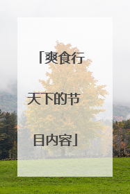 爽食行天下的节目内容