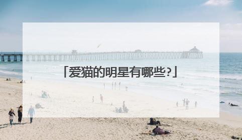 爱猫的明星有哪些?