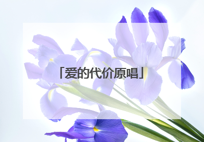 爱的代价原唱