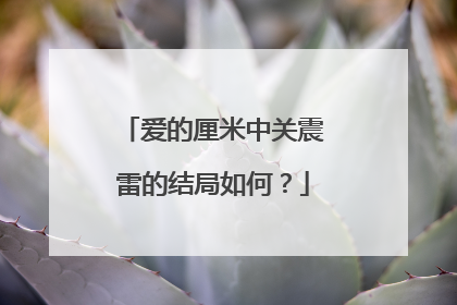 爱的厘米中关震雷的结局如何?