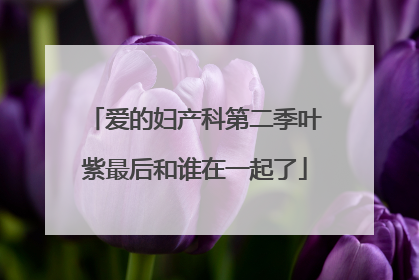 爱的妇产科第二季叶紫最后和谁在一起了