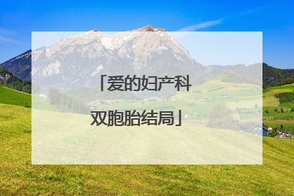 爱的妇产科双胞胎结局