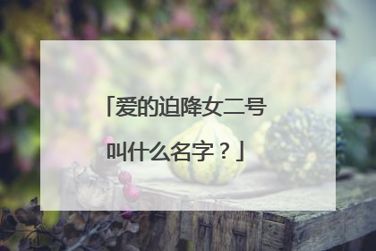 爱的迫降女二号叫什么名字？