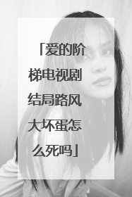 爱的阶梯电视剧结局路风大坏蛋怎么死吗