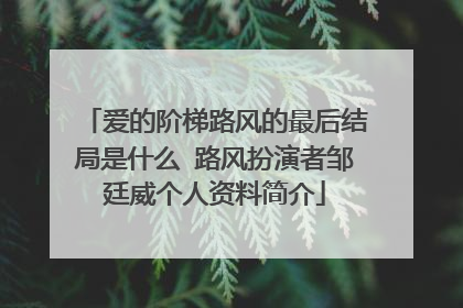 爱的阶梯路风的最后结局是什么 路风扮演者邹廷威个人资料简介