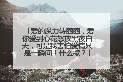 爱的魔力转圈圈，爱你爱到心花怒放黑夜白天，可是我害怕爱情只是一瞬间！什么歌？