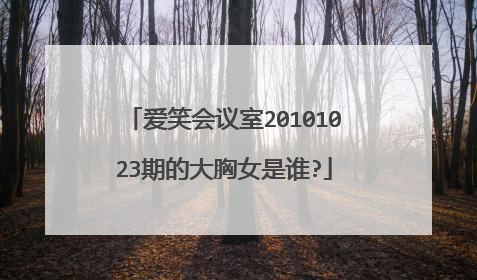 爱笑会议室20101023期的大胸女是谁?