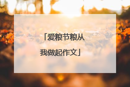 爱粮节粮从我做起作文