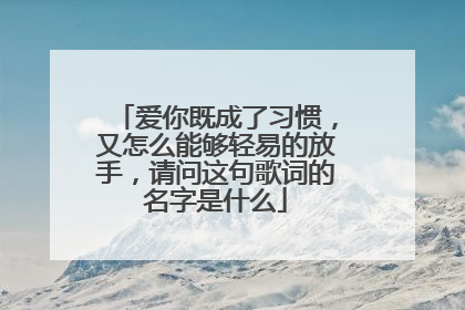爱你既成了习惯，又怎么能够轻易的放手，请问这句歌词的名字是什么
