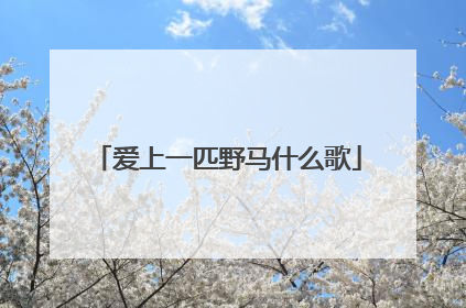 爱上一匹野马什么歌
