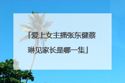 爱上女主播张东健蔡琳见家长是哪一集
