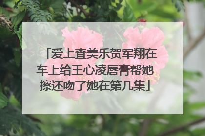 爱上査美乐贺军翔在车上给王心凌唇膏帮她擦还吻了她在第几集