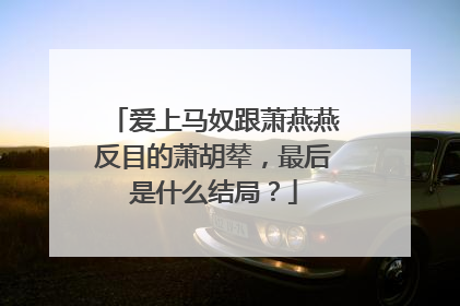 爱上马奴跟萧燕燕反目的萧胡辇,最后是什么结局?