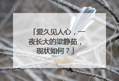 爱久见人心,一夜长大的梁静茹,现状如何?