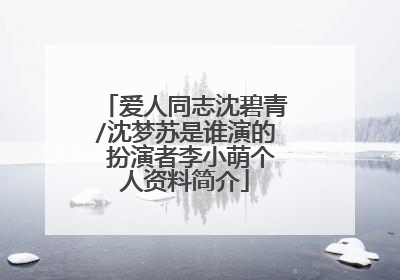 爱人同志沈碧青/沈梦苏是谁演的 扮演者李小萌个人资料简介