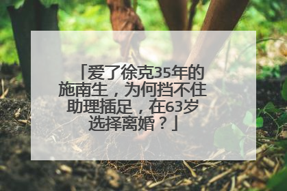 爱了徐克35年的施南生，为何挡不住助理插足，在63岁选择离婚？