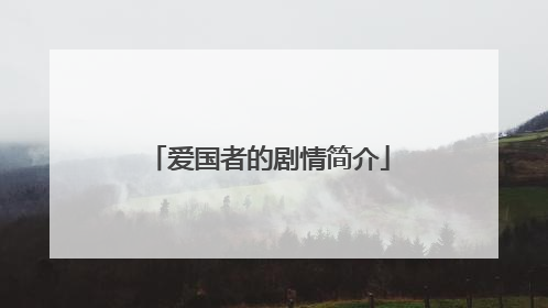 爱国者的剧情简介