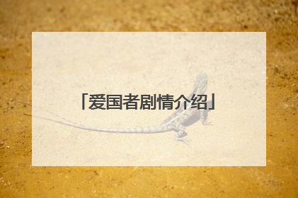 爱国者剧情介绍