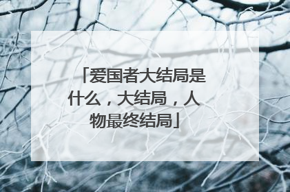 爱国者大结局是什么，大结局，人物最终结局