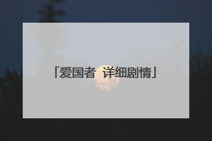 爱国者 详细剧情