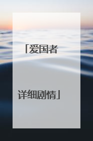 爱国者 详细剧情