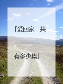 爱回家一共有多少集