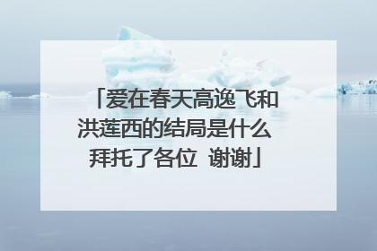 爱在春天高逸飞和洪莲西的结局是什么拜托了各位 谢谢