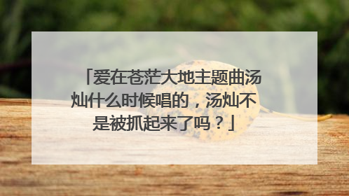 爱在苍茫大地主题曲汤灿什么时候唱的，汤灿不是被抓起来了吗？