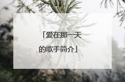 爱在那一天的歌手简介