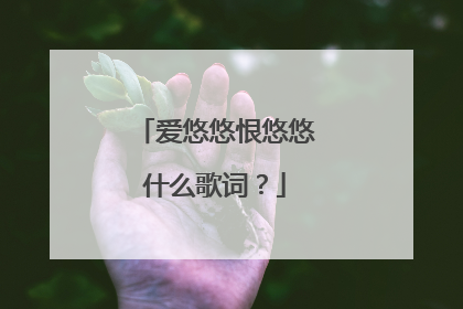 爱悠悠恨悠悠什么歌词？