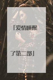 爱情睡醒了第二部