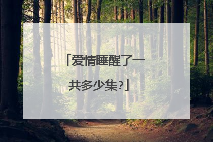 爱情睡醒了一共多少集?