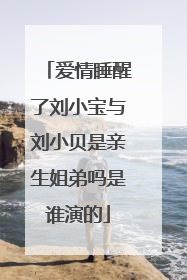 爱情睡醒了刘小宝与刘小贝是亲生姐弟吗是谁演的