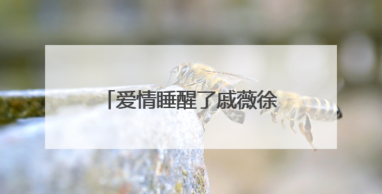 爱情睡醒了戚薇徐正曦吻戏有几场?分别是第几集啊?