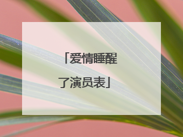 爱情睡醒了演员表