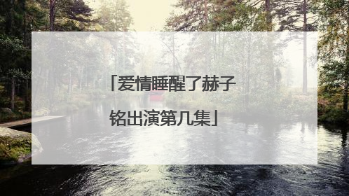 爱情睡醒了赫子铭出演第几集