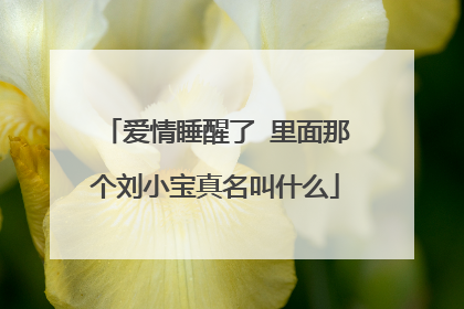 爱情睡醒了 里面那个刘小宝真名叫什么