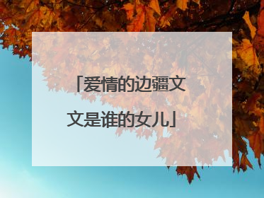 爱情的边疆文文是谁的女儿