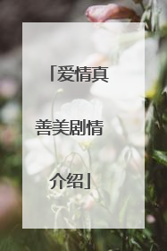 爱情真善美剧情介绍