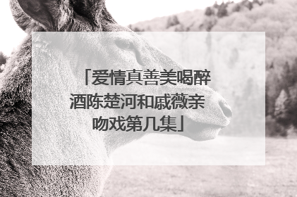 爱情真善美喝醉酒陈楚河和戚薇亲吻戏第几集