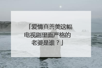 爱情真善美这幅电视剧里面严格的老婆是谁？