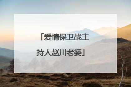 爱情保卫战主持人赵川老婆