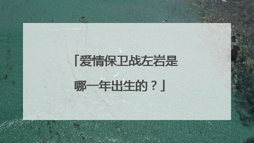 爱情保卫战左岩是哪一年出生的？