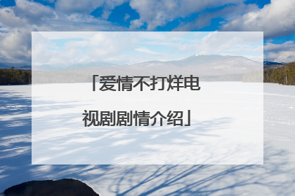 爱情不打烊电视剧剧情介绍