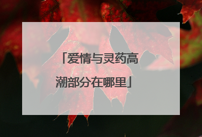 爱情与灵药高潮部分在哪里